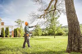 Best Hazardous Tree Removal  in Brownstown, IN